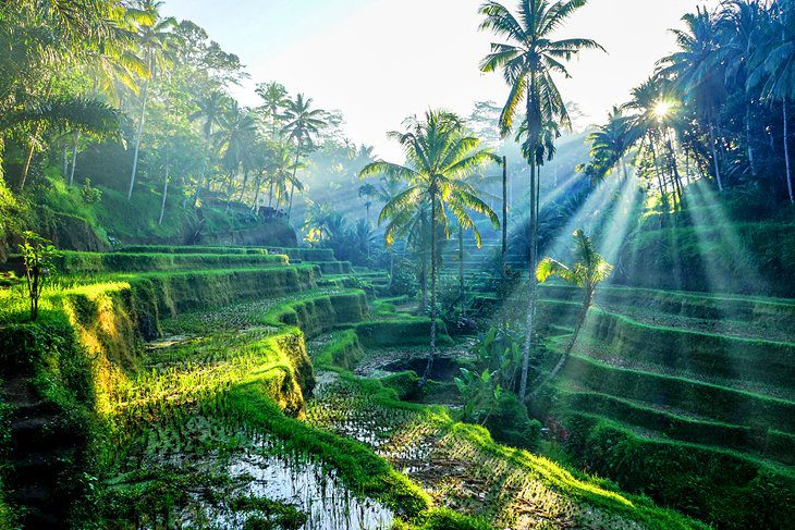 Indonesia in Pictures: 20 Beautiful Places to Photograph