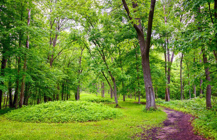 Iowa in Pictures: 15 Beautiful Places to Photograph