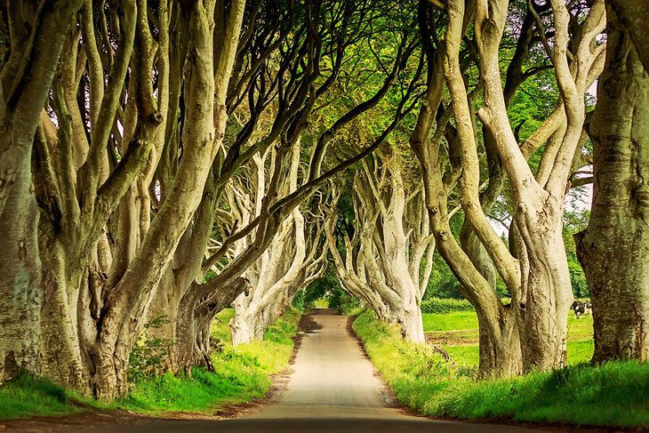 Ireland in Pictures: 25 Beautiful Places to Photograph