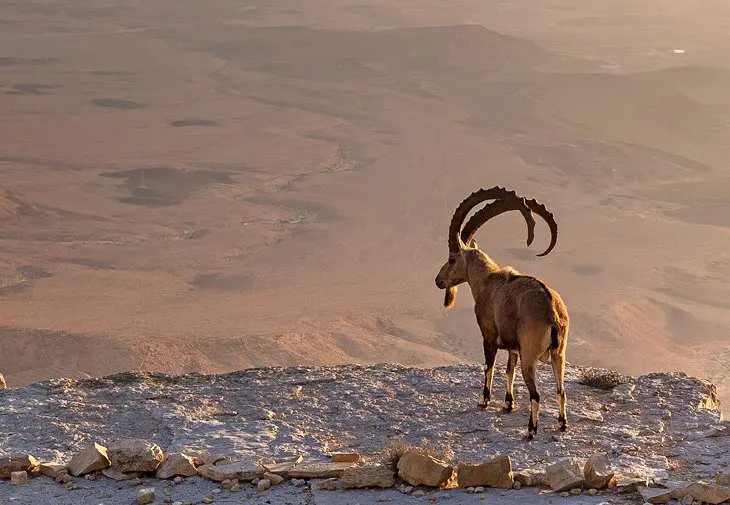 Israel in Pictures: 19 Beautiful Places to Photograph