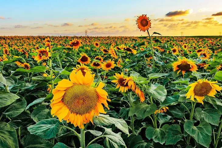 Israel in Pictures: 19 Beautiful Places to Photograph