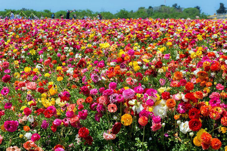 Israel in Pictures: 19 Beautiful Places to Photograph