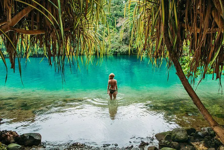 Jamaica in Pictures: 17 Beautiful Places to Photograph