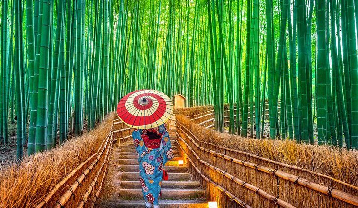 Japan in Pictures: 20 Beautiful Places to Photograph