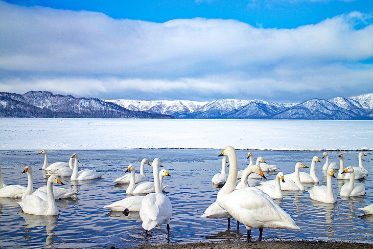 Japan in Pictures: 20 Beautiful Places to Photograph