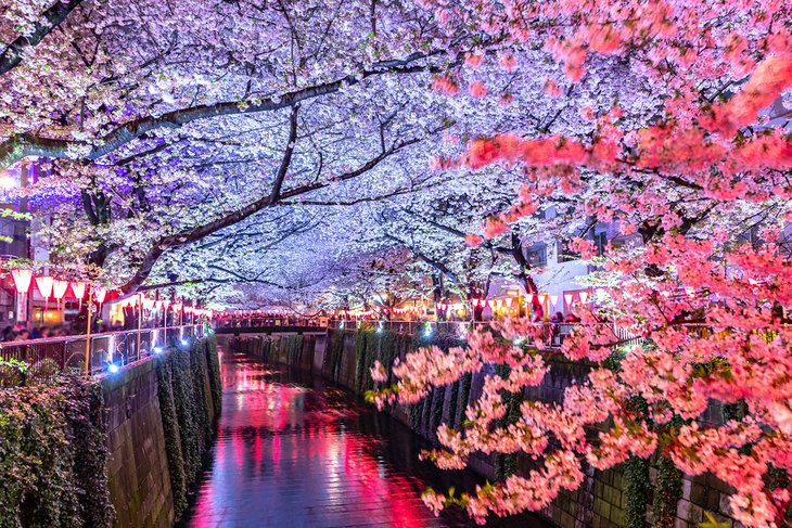 Japan in Pictures: 20 Beautiful Places to Photograph