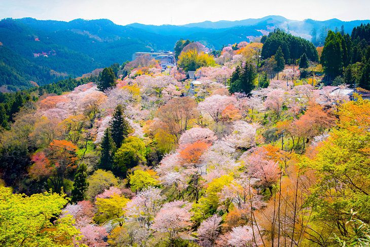 Japan in Pictures: 20 Beautiful Places to Photograph