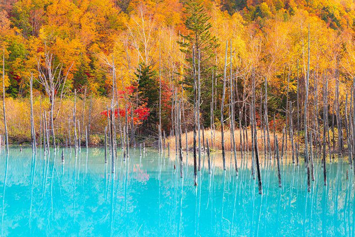 Japan in Pictures: 20 Beautiful Places to Photograph