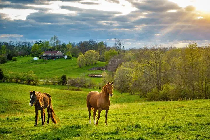 Kentucky in Pictures: 18 Beautiful Places to Photograph