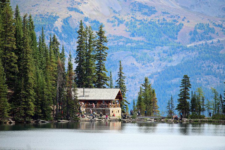 Lake Agnes Tea House Hike: A Must-Do Trail at Lake Louise