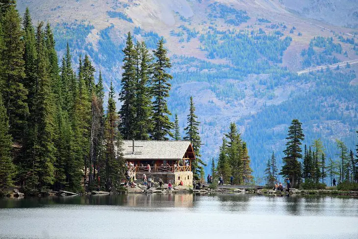 Lake Agnes Tea House Hike: A Must-Do Trail at Lake Louise