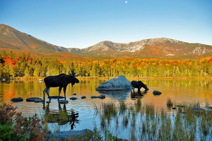 Maine in Pictures: 25 Beautiful Places to Photograph