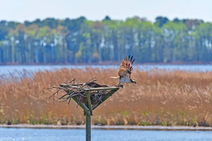 Maryland in Pictures: 22 Beautiful Places to Photograph