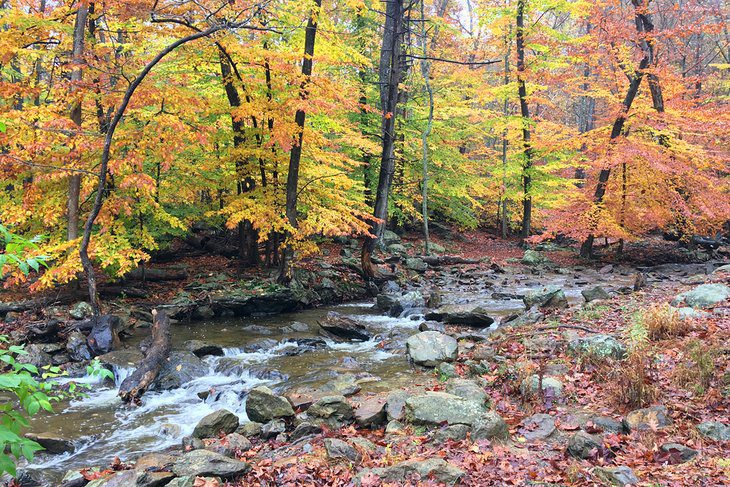 Maryland in Pictures: 22 Beautiful Places to Photograph