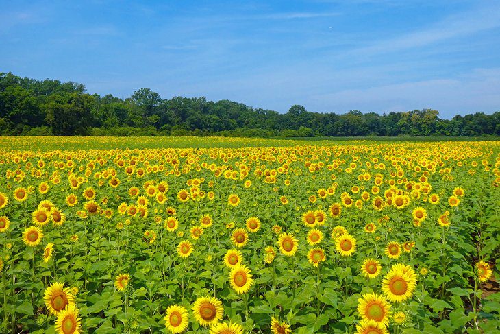 Maryland in Pictures: 22 Beautiful Places to Photograph