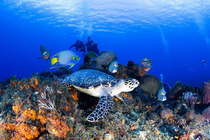 Mexico in Pictures: 15 Beautiful Places to Photograph