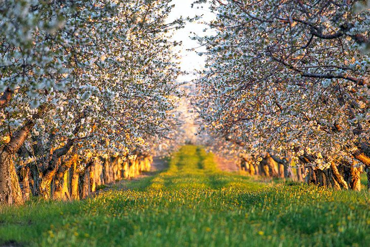 Michigan in Pictures: 23 Beautiful Places to Photograph