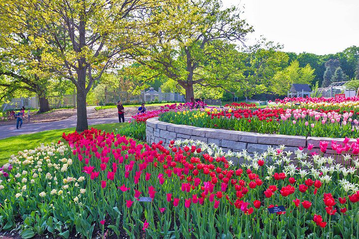 Minnesota in Pictures: 15 Beautiful Places to Photograph