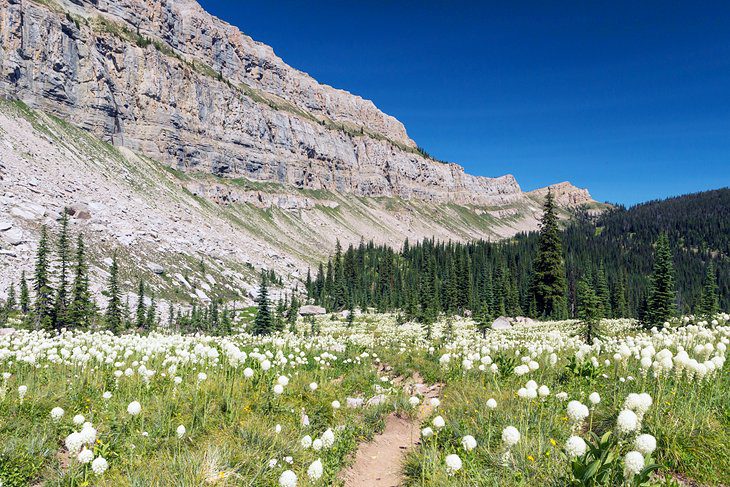 Montana in Pictures: 18 Beautiful Places to Photograph