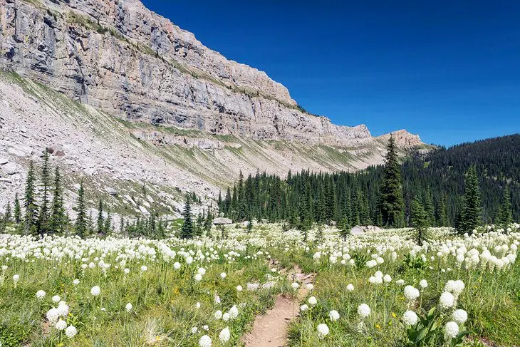 Montana in Pictures: 18 Beautiful Places to Photograph