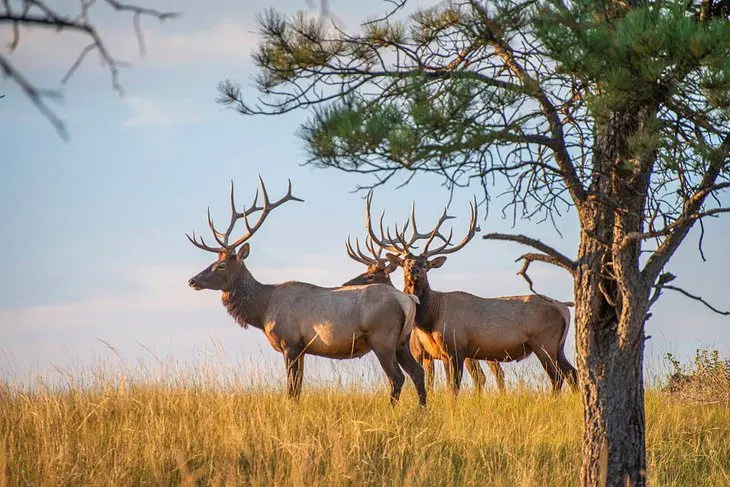 Nebraska in Pictures: 15 Beautiful Places to Photograph