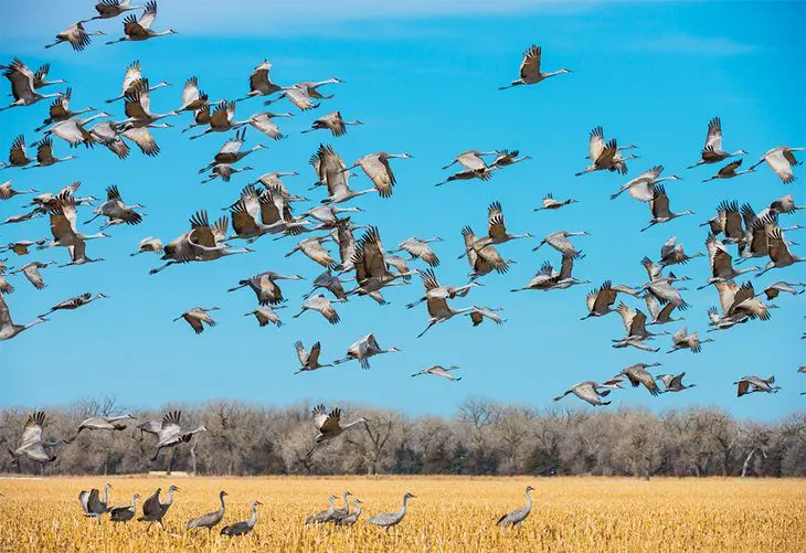 Nebraska in Pictures: 15 Beautiful Places to Photograph