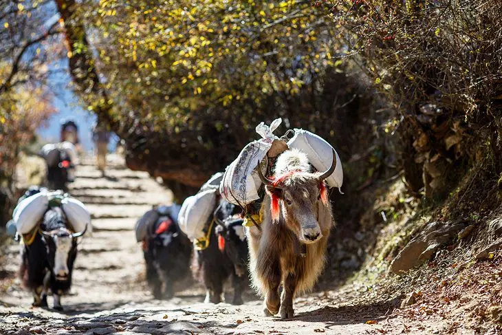 Nepal in Pictures: 19 Beautiful Places to Photograph