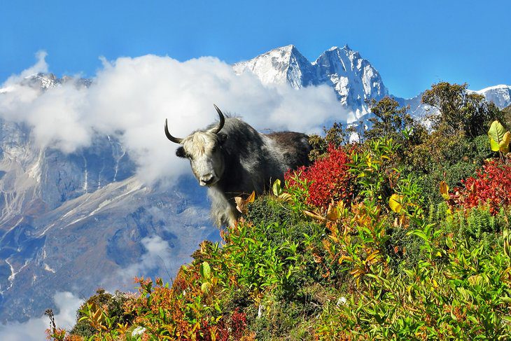 Nepal in Pictures: 19 Beautiful Places to Photograph