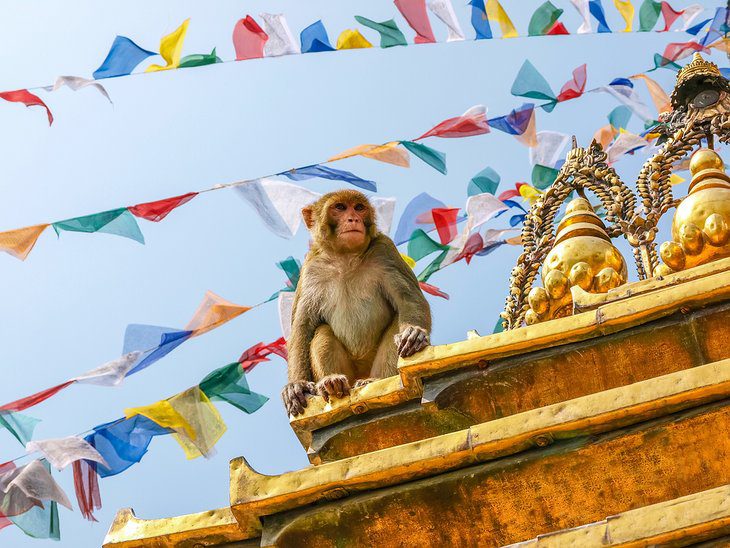 Nepal in Pictures: 19 Beautiful Places to Photograph