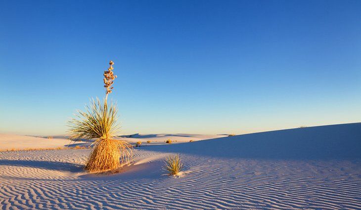 New Mexico in Pictures: 19 Beautiful Places to Photograph