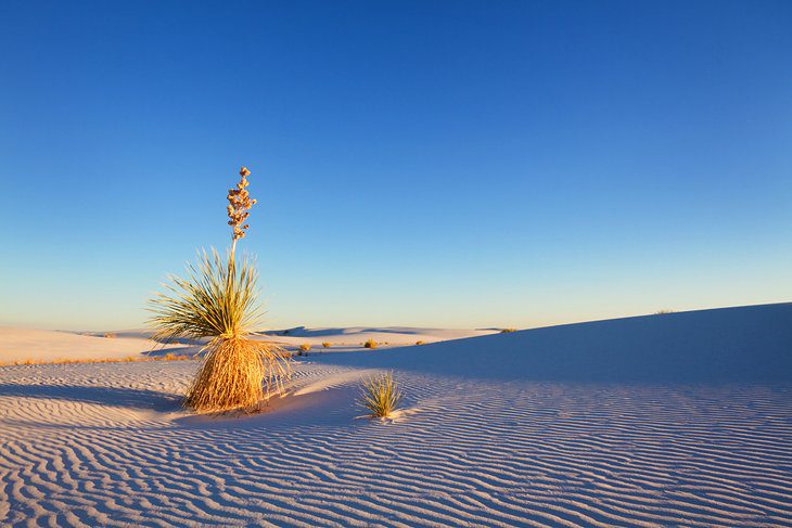 New Mexico in Pictures: 19 Beautiful Places to Photograph