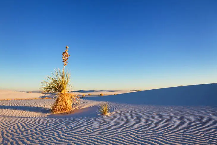 New Mexico in Pictures: 19 Beautiful Places to Photograph