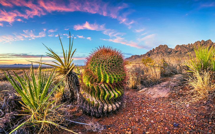 New Mexico in Pictures: 19 Beautiful Places to Photograph