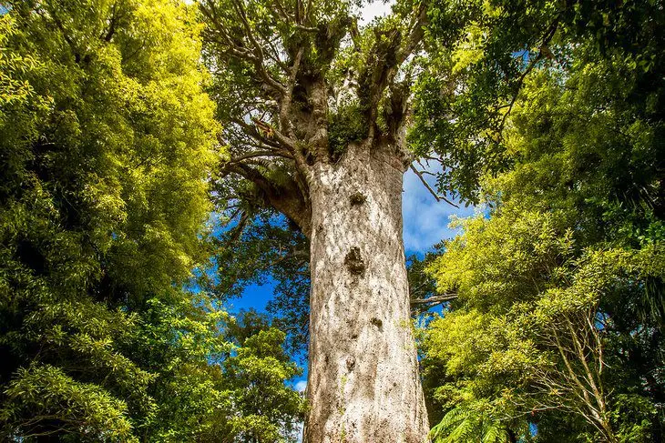 New Zealand in Pictures: 15 Beautiful Places to Photograph