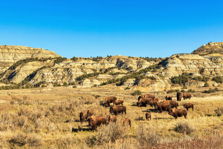 North Dakota in Pictures: 15 Beautiful Places to Photograph