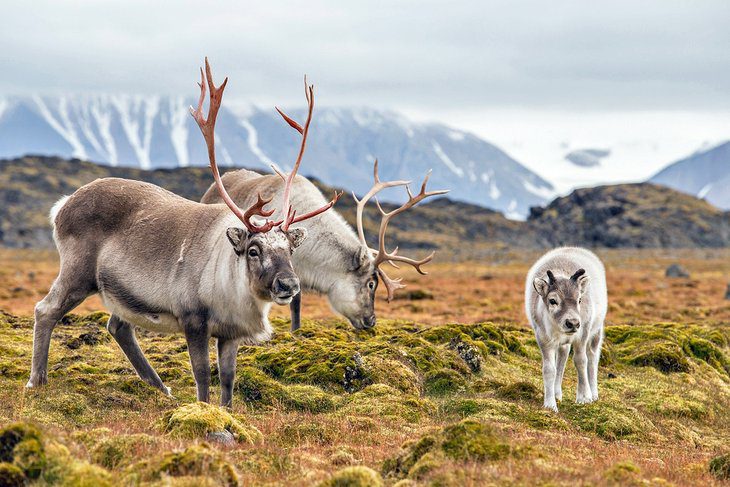 Norway in Pictures: 18 Beautiful Places to Photograph