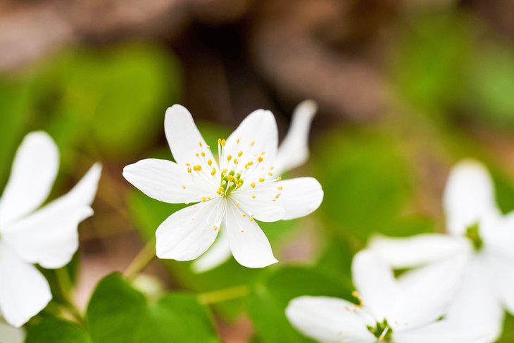 Ohio in Pictures: 22 Beautiful Places to Photograph