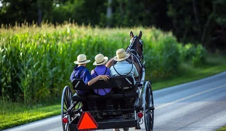 Ohio&#8217;s Amish Country: 12 Highlights and Hidden Treasures