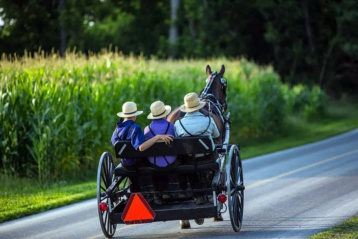 Ohios Amish Country: 12 Highlights and Hidden Treasures