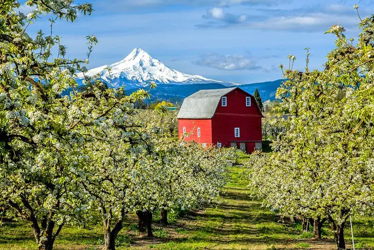 Oregon in Pictures: 20 Beautiful Places to Photograph