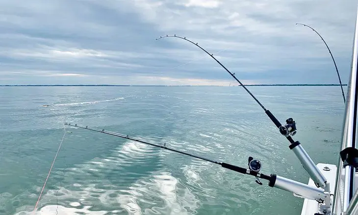 Perch & Walleye Fishing on Lake Erie: 6 Things to Know