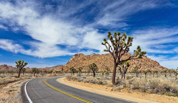 Plan the Best California Road Trip: 7 Great Ideas