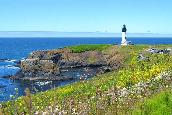 Plan the Best Oregon Coast Road Trip: 6 Great Ideas