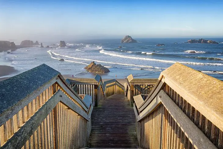 Plan the Best Oregon Coast Road Trip: 6 Great Ideas