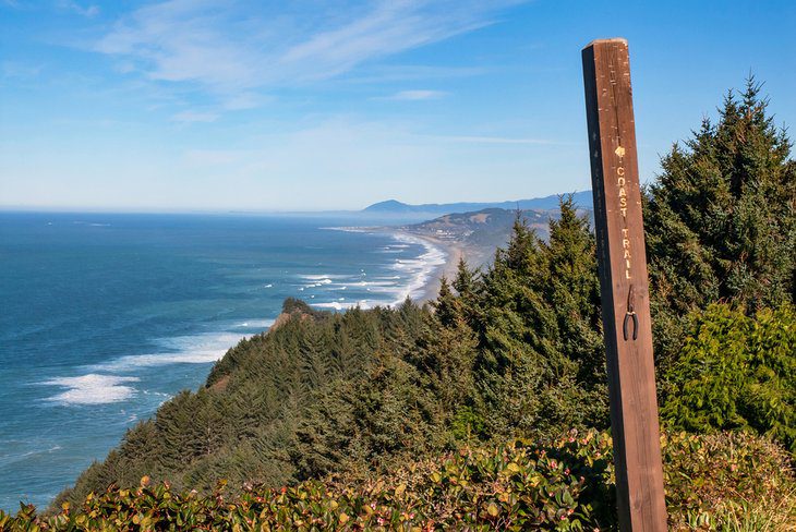 Plan the Best Oregon Coast Road Trip: 6 Great Ideas