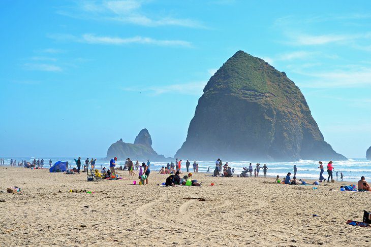 Plan the Best Oregon Coast Road Trip: 6 Great Ideas