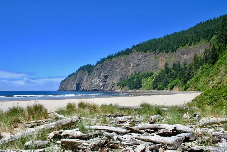 Plan the Best Oregon Coast Road Trip: 6 Great Ideas