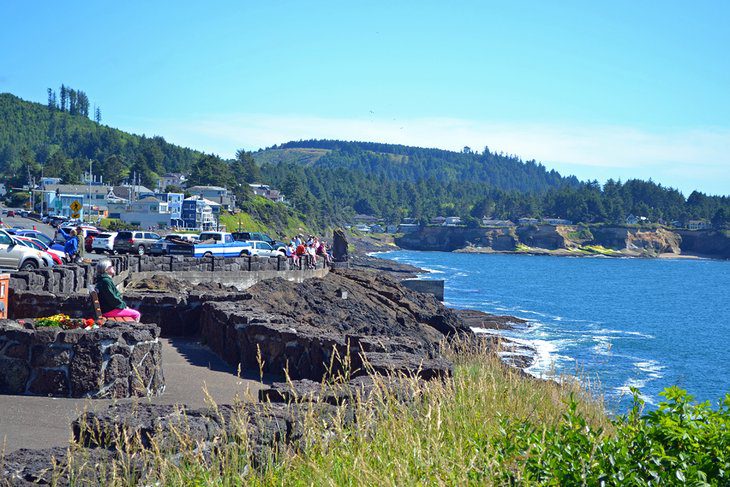 Plan the Best Oregon Coast Road Trip: 6 Great Ideas