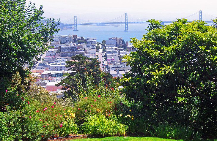 San Francisco Walking Tour: 10 Top Sights