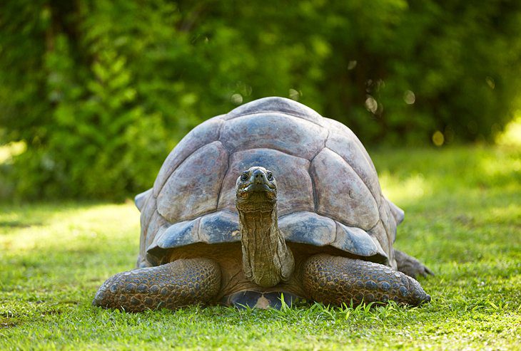 Seychelles in Pictures: 25 Beautiful Places to Photograph